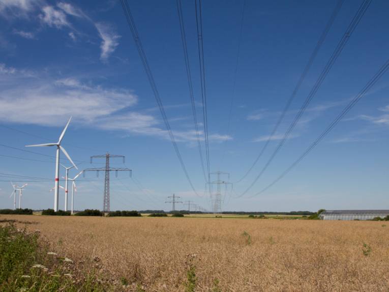 Hochspannungsleitungen sind in der Mitte des Bildes zu sehen. Im Hintergrund zeichnet sich ein Getreidefeld vor blauem Himmel ab. Am linken Bildrand sind sechs Winskraftanlagen des Windparks zwischen Pattensen und Sarstedt zu erkennen.