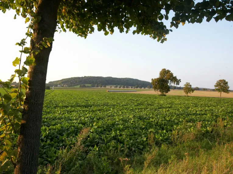 Calenberger Landtour