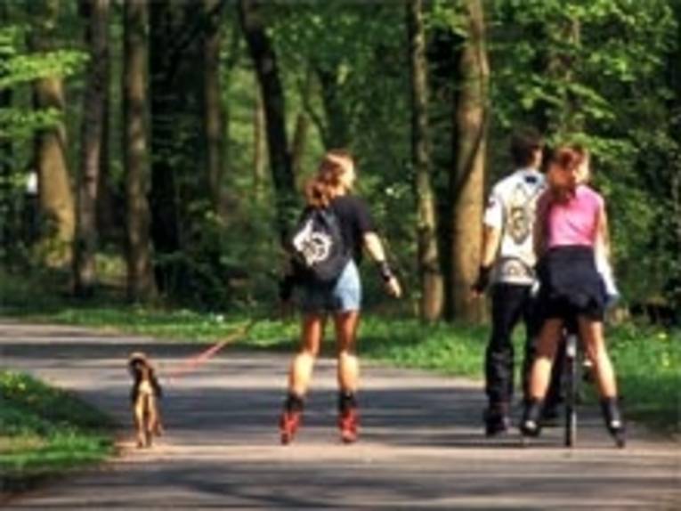 Ausflug in die Eilenriede