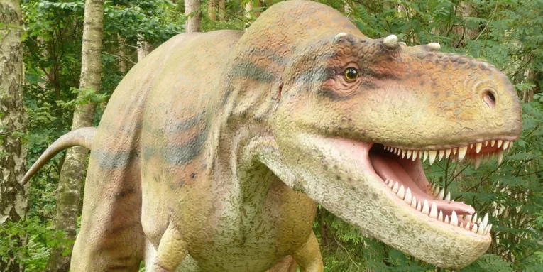Ein Dino schaut in die Kamera