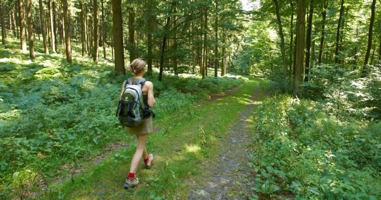 Eine Frau wandert im Deister