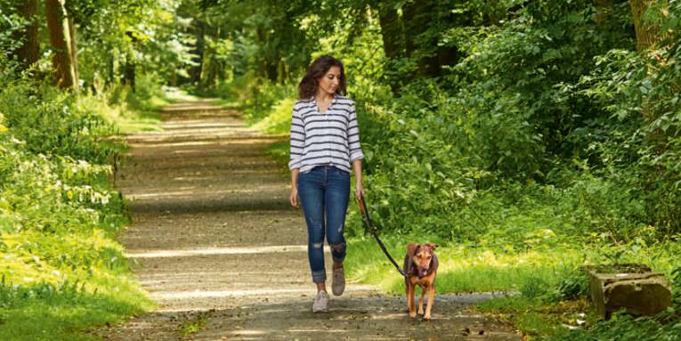 Gassi gehen im Grünen