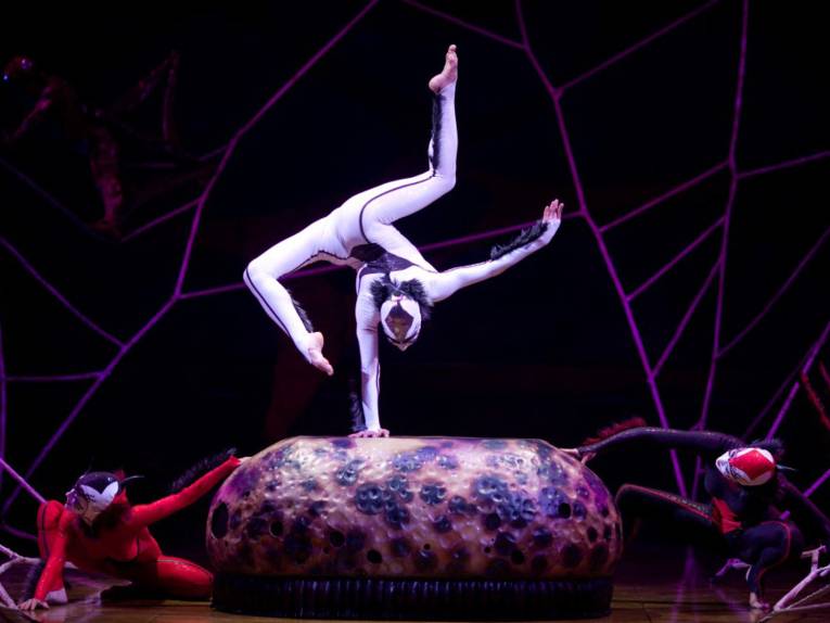 Cirque du Soleil