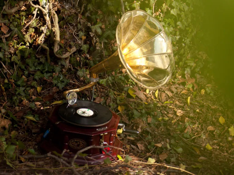 Grammophon