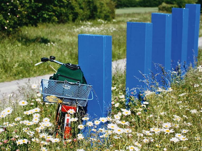 Fahrrad am Wegesrand inmitten von Margaritten, das an einem blauen Holzpfahl lehnt, 