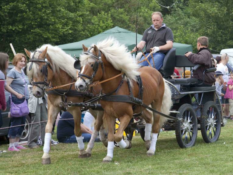 Pferde- und Reitershow des Vereins Burgdorfer Pferdeland