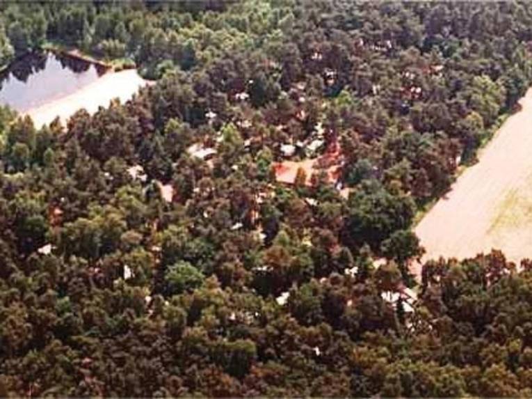 Ein Waldstück, in dessen Mitte ein See liegt. 