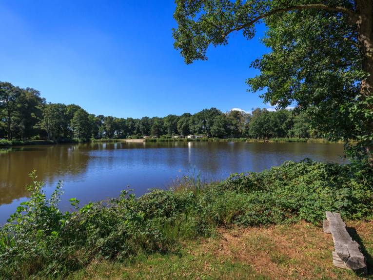 Eine Grünfläche mit einer Baumreihe auf der ein Auto und zwei Wohnmobile parken. 