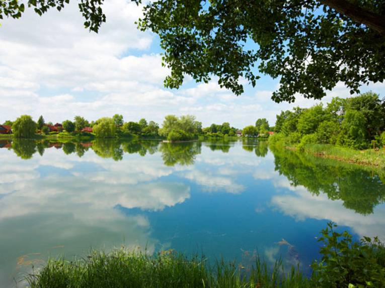 Ein von Gräsern und Bäumen gesäumter See, auf dessen Oberfläche sich der bewölkte Himmel spiegelt. 