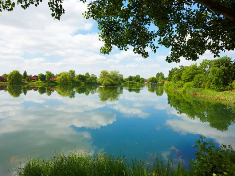 Ein von Gräsern und Bäumen gesäumter See, auf dessen Oberfläche sich der bewölkte Himmel spiegelt. 