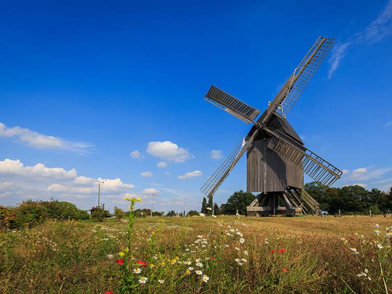  Bockwindmühle Wettmar in Burgwedel