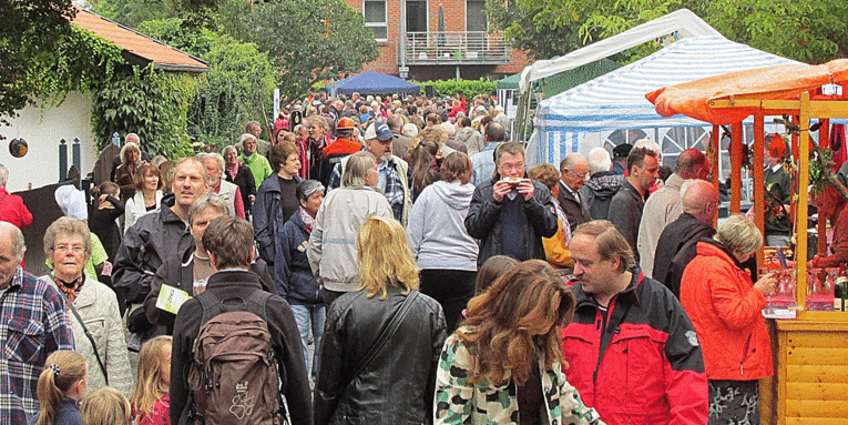 Eine Straße mit vielen Gästen und Ausstellern auf dem Brunnenfest in Laatzen - Grasdorf