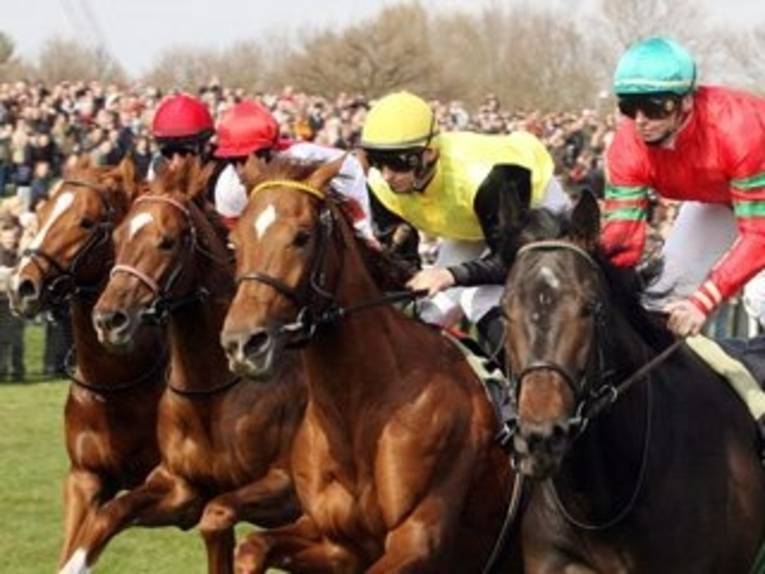Pferde und Jockeys