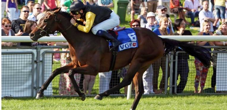 Waldtraut aus dem Gestüt Brümmerhof 