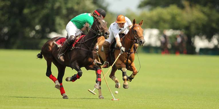 Hochkarätiger Polosport