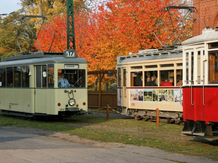 Drei historische Straßenbahnen auf dem Außengelände des Straßenbahnmuseums.