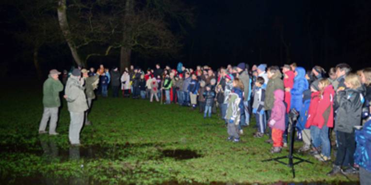 Interessierte versammeln sich in der Nacht im Wisentgehege und lassen sich Informationen über Wölfe geben.