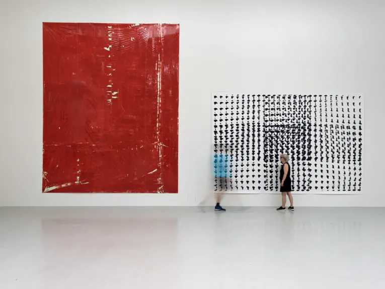 Sascha Hahn (Sprengel Museum Hannover)