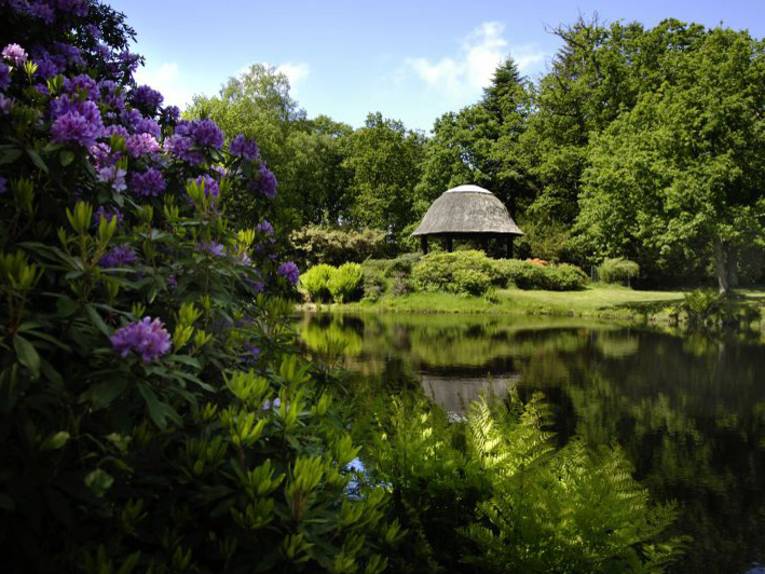 Schlosspark Luetetsburg