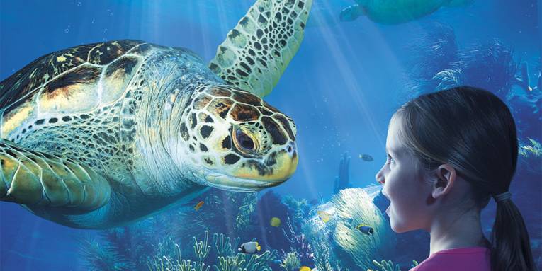 Sea Life Hannover Parken
