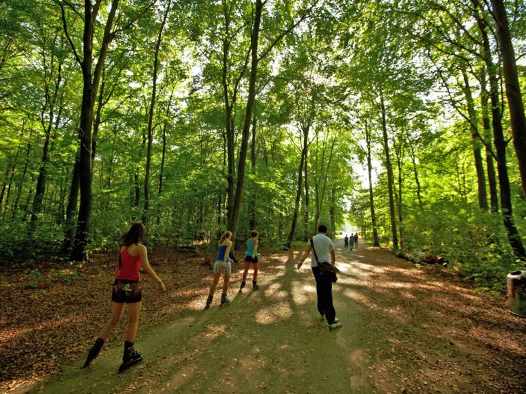 Inliner fahren in der Eilenriede