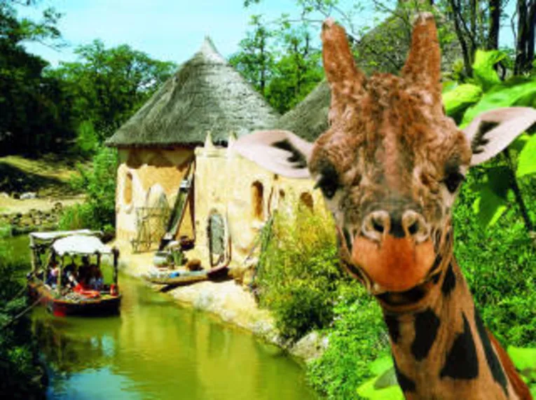 Giraffe am Sambesi Fluss