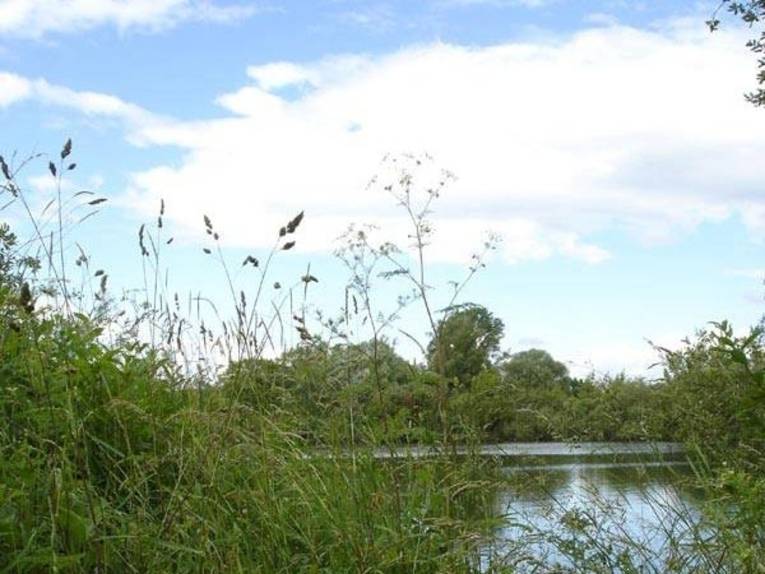 Koldinger Seen 4 | Teaser | Sprachversion | Bilder | visit-hannover