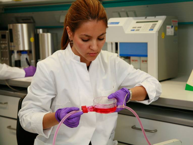 Medizinische Hochschule Hannover / Hannover Medical School (MHH)