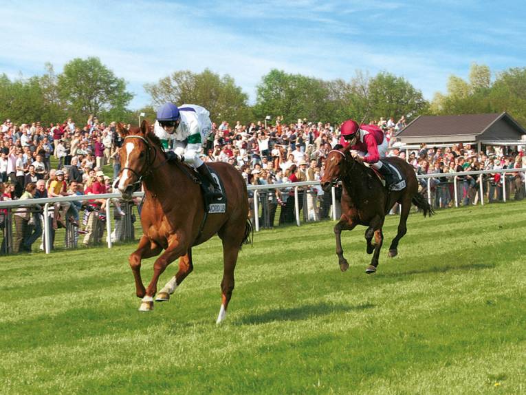 Neue Bult horse racecourse