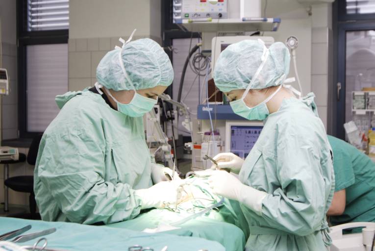 Tierärztliche Hochschule Hannover OP in der Klinik fuer Kleintiere