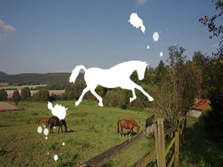Reiten in der Pferderegion Hannover