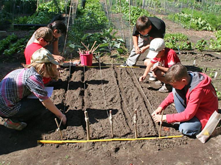 Kinder knieen an einem Gemüsebeet, an dem verschiedene Saatreihen durch Stöcke und Schnüre gekennzeichnet sind, und säen Gemüsesamen ein.
