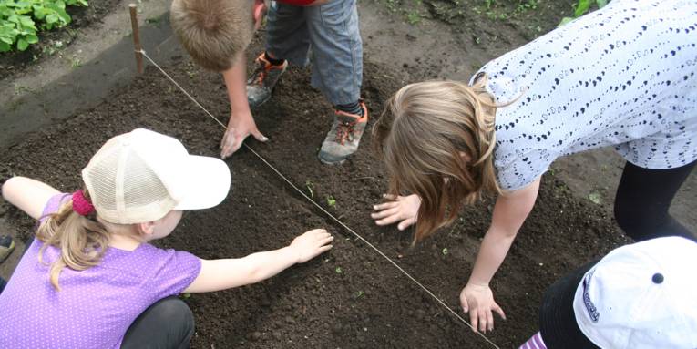 Kinder knien auf frisch gegrabenem Boden und säen entlang einer Richtschnur Samen aus