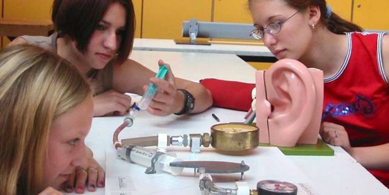 Drei Schülerinnen erforschen an einem Ohren-Modell die Schallverarbeitung