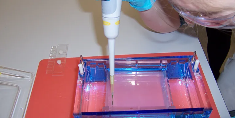 Schülerin mit Pipette an einer Gelelektrophoreseapparatur