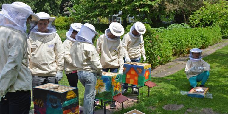 Schüler in weißen Imkerschutzanzügen prüfen Bienenstöcke