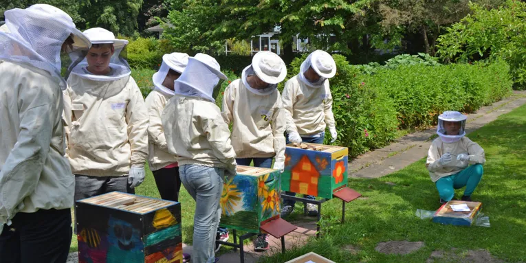 Schüler in weißen Imkerschutzanzügen prüfen Bienenstöcke