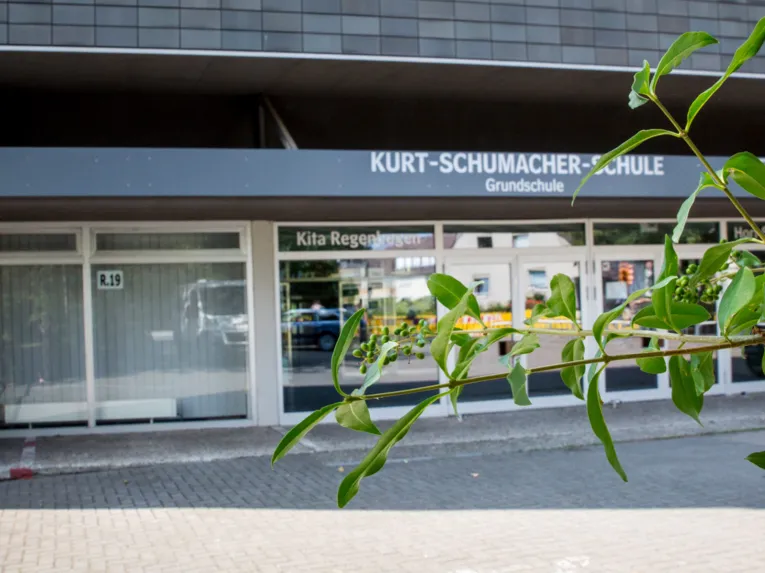Fensterfront und Eingang der Kurt-Schumacher-Schule