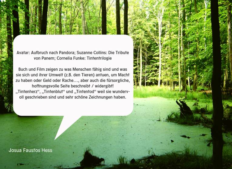Zitat Josua Fausto Hess, Hintergrund hessische Waldlandschaft