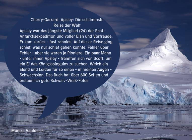 Antarktische Küste mit Eisberg, davor Zitat