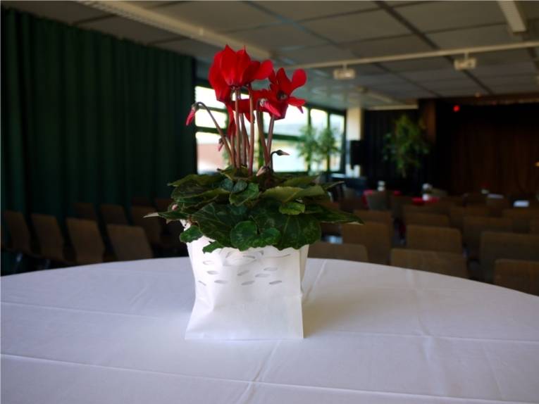 Auf diesem Bild ist eine Nahaufnahme des Tischschmuckes gemacht worden. Es Zeigt ein rotes Alpenpfeilchen in einem Blumentopf umhüllt von einer weißen Dekotasche. Dieses Alpenpfeilchen steht auf einen runden Stehtisch auf einer weißen Tischdecke. Im Hintergund sieht man verschwommen die Bühne und die davorstehende Bestuhlung des Saales.