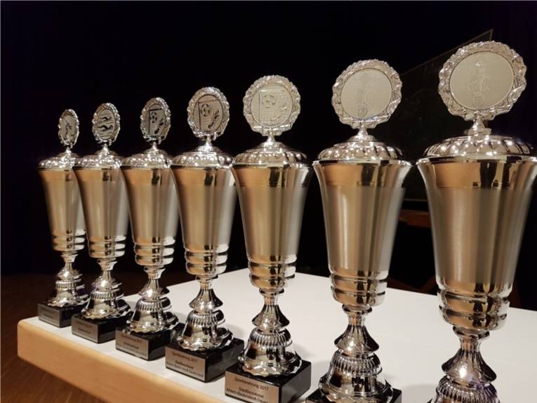 Auf dem Bild sind mehrere Pokale in einer Reihe zu sehen.