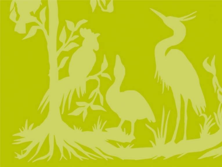 Auf dem Bild sind Umrisse von verschiedenen Vögeln und Bäumen zu sehen. Der Hintergrund ist grün/gelb.