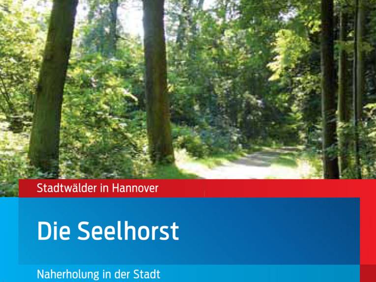 Waldweg im Seelhorster Wald