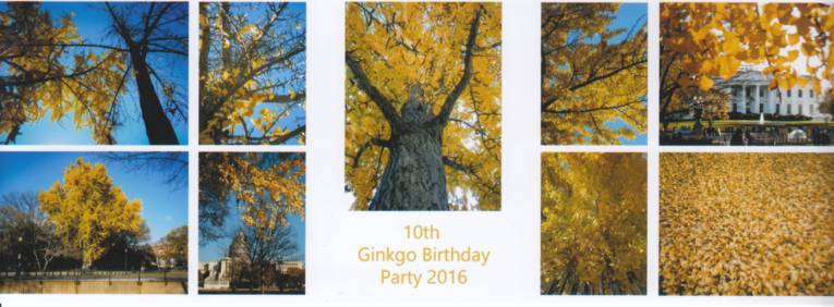 Postkarte - 10th Gingko Birthday Party 2016.