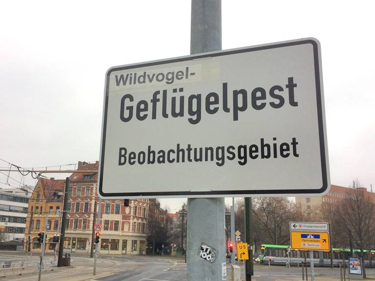 Schild mit der Aufschrift "Wildvogel-Geflügelpest-Beobachtungsgebiet"