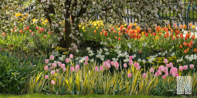 Herrenhäuser Gärten im Frühling