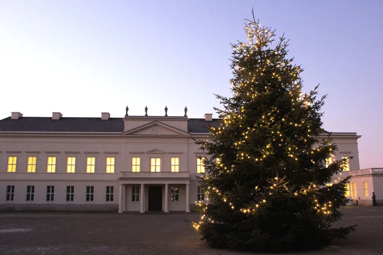 Weihnachtsbaum