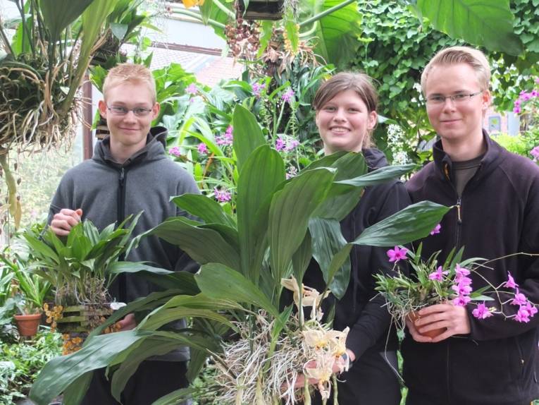 Azubis Zierpflanzengärtner