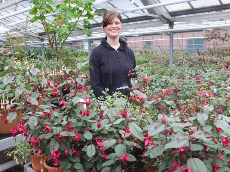 Azubis Zierpflanzengärtner